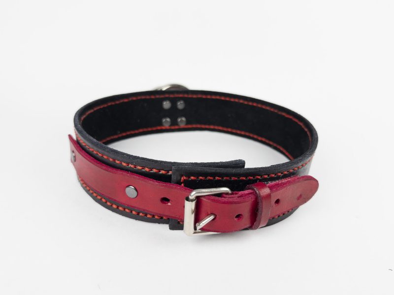 Leather Choker Collar - Image 2